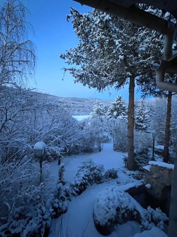 Le Priolat Des Anges Aux Portes Des Gorges Du Verdon トリガンス エクステリア 写真